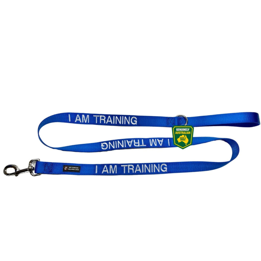 I Am Training Leash