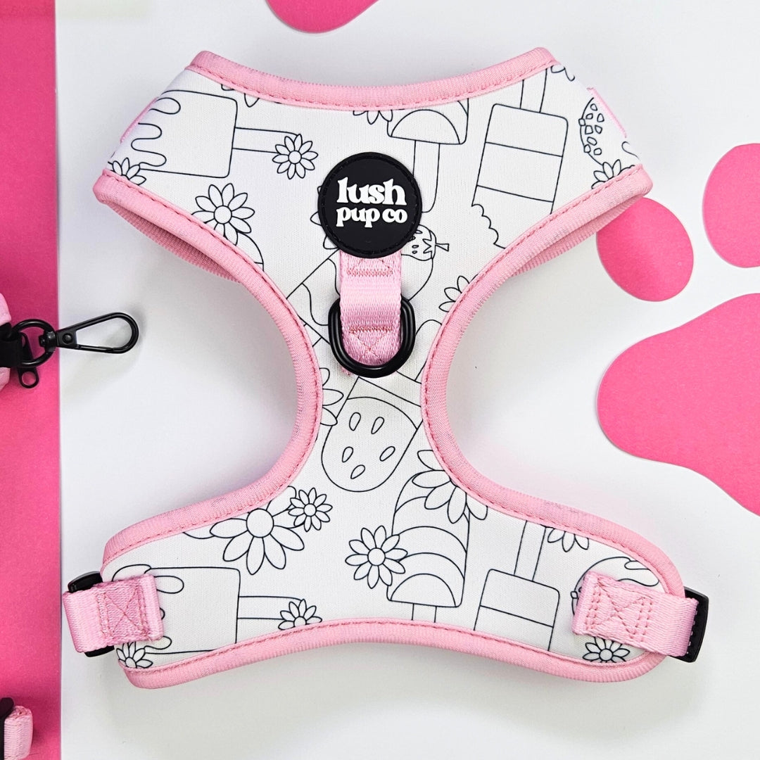 Paddle Pop Paradise Colour-In Adjustable Harness