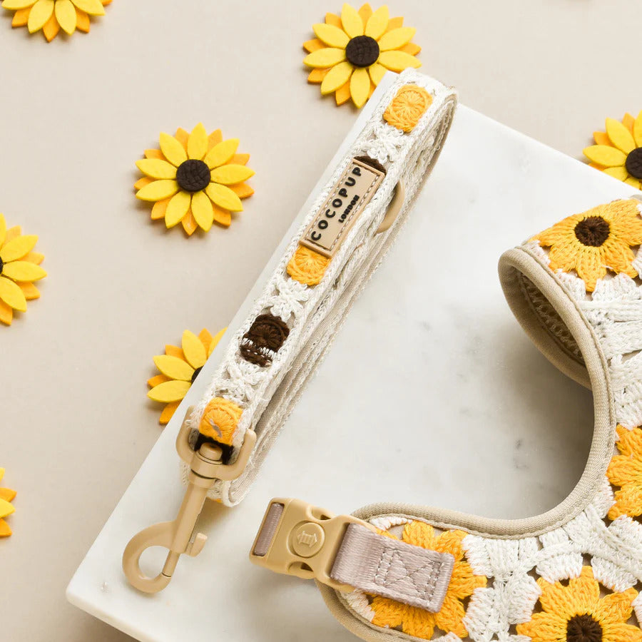 Sunflower Patch Leash