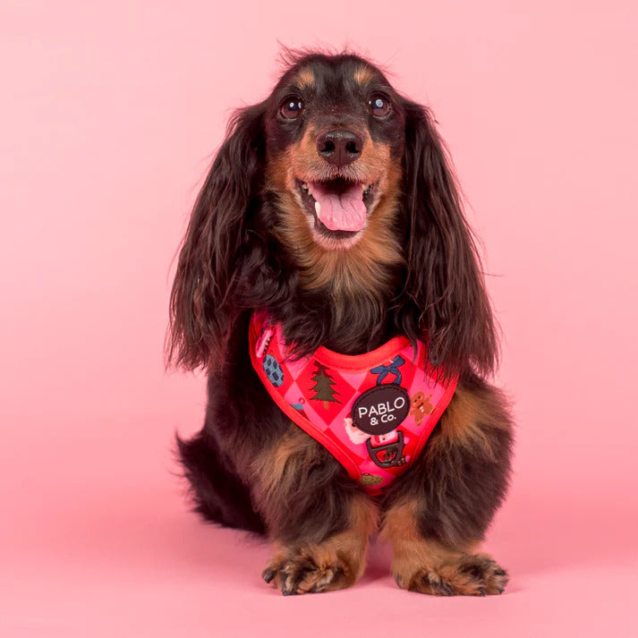 Christmas Cheer Adjustable Dog Harness