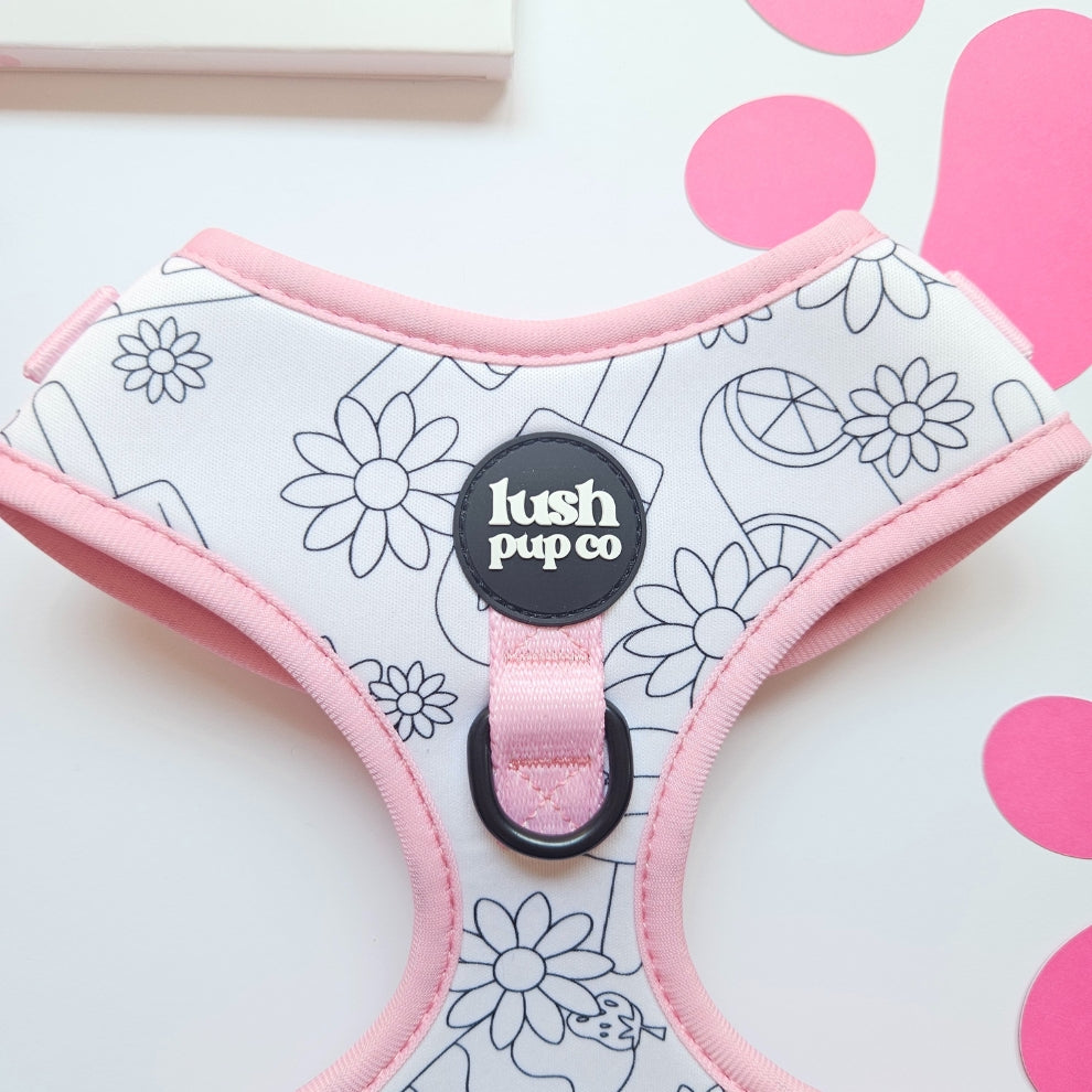 Paddle Pop Paradise Colour-In Adjustable Harness