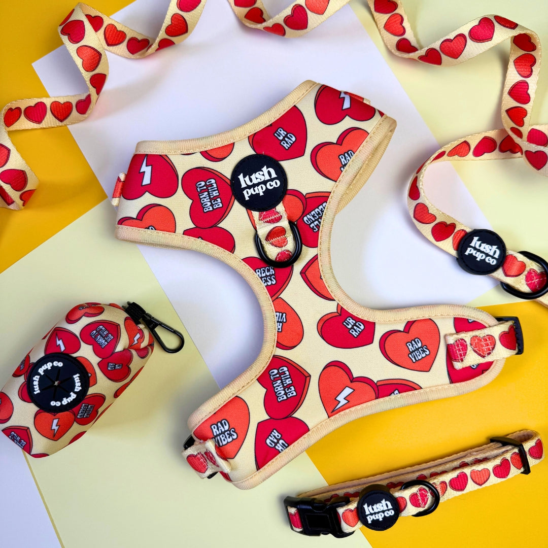 Rad Candy Heart Adjustable Harness