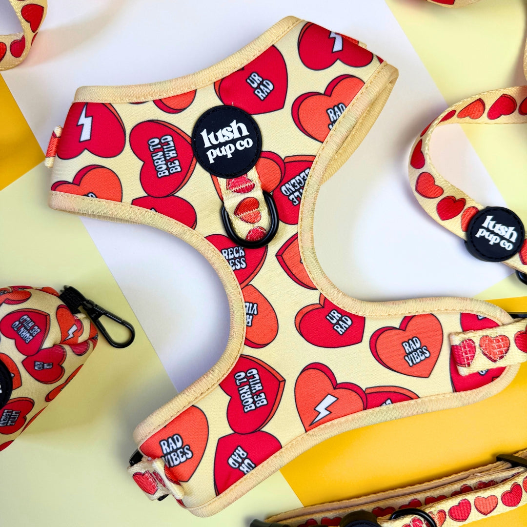 Rad Candy Heart Adjustable Harness