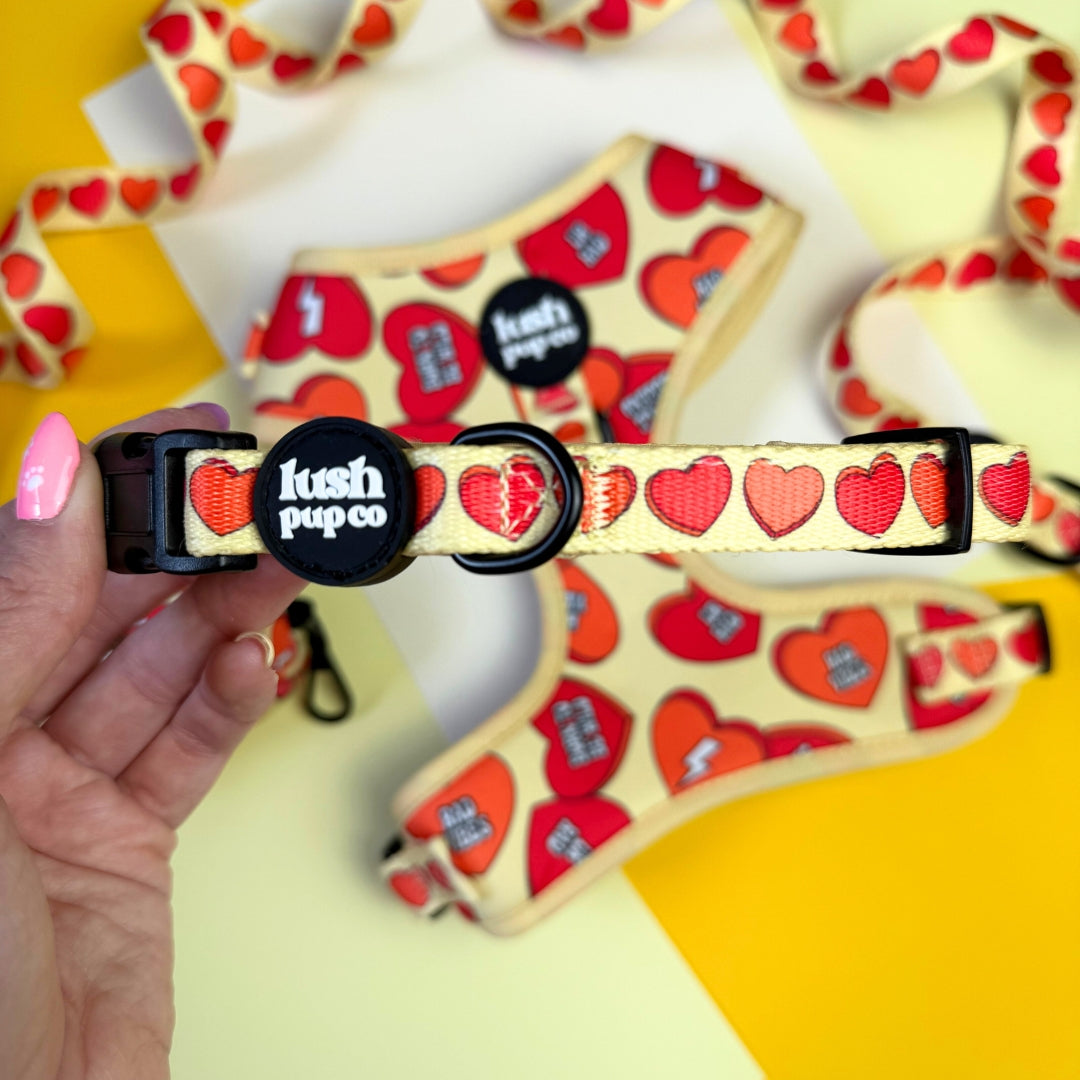 Rad Candy Heart Collar