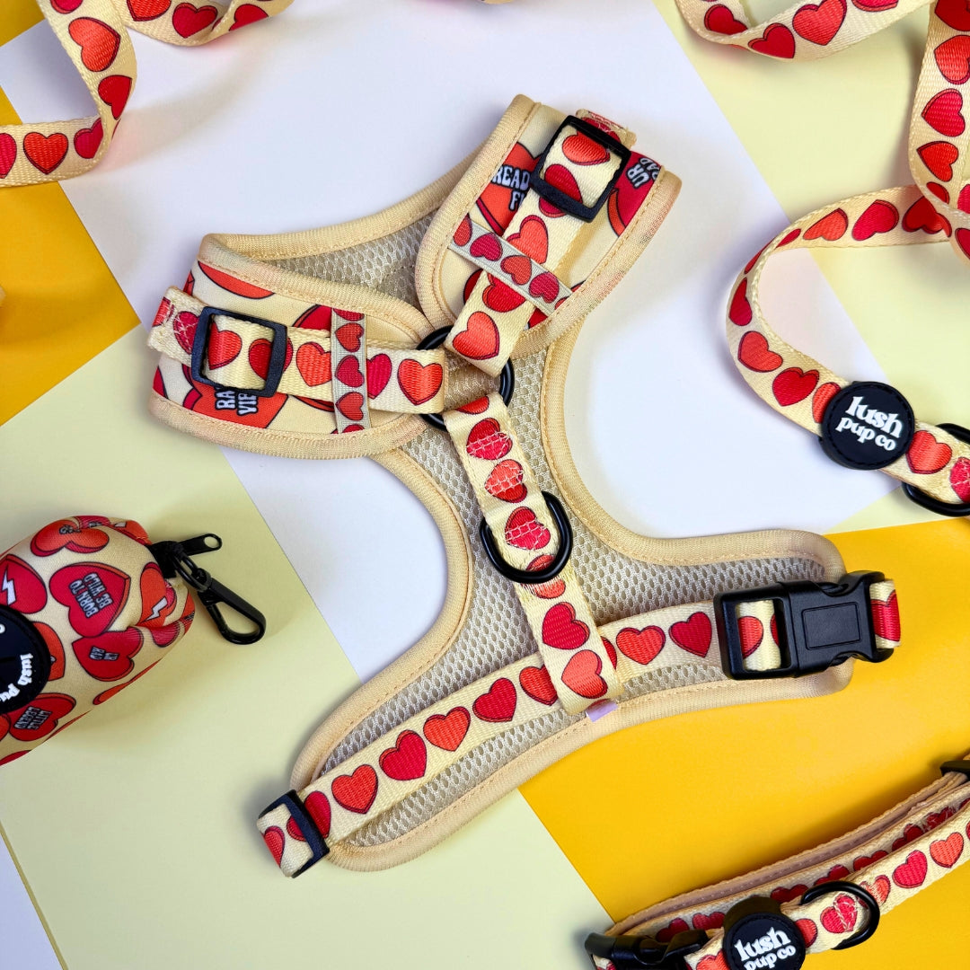 Rad Candy Heart Adjustable Harness