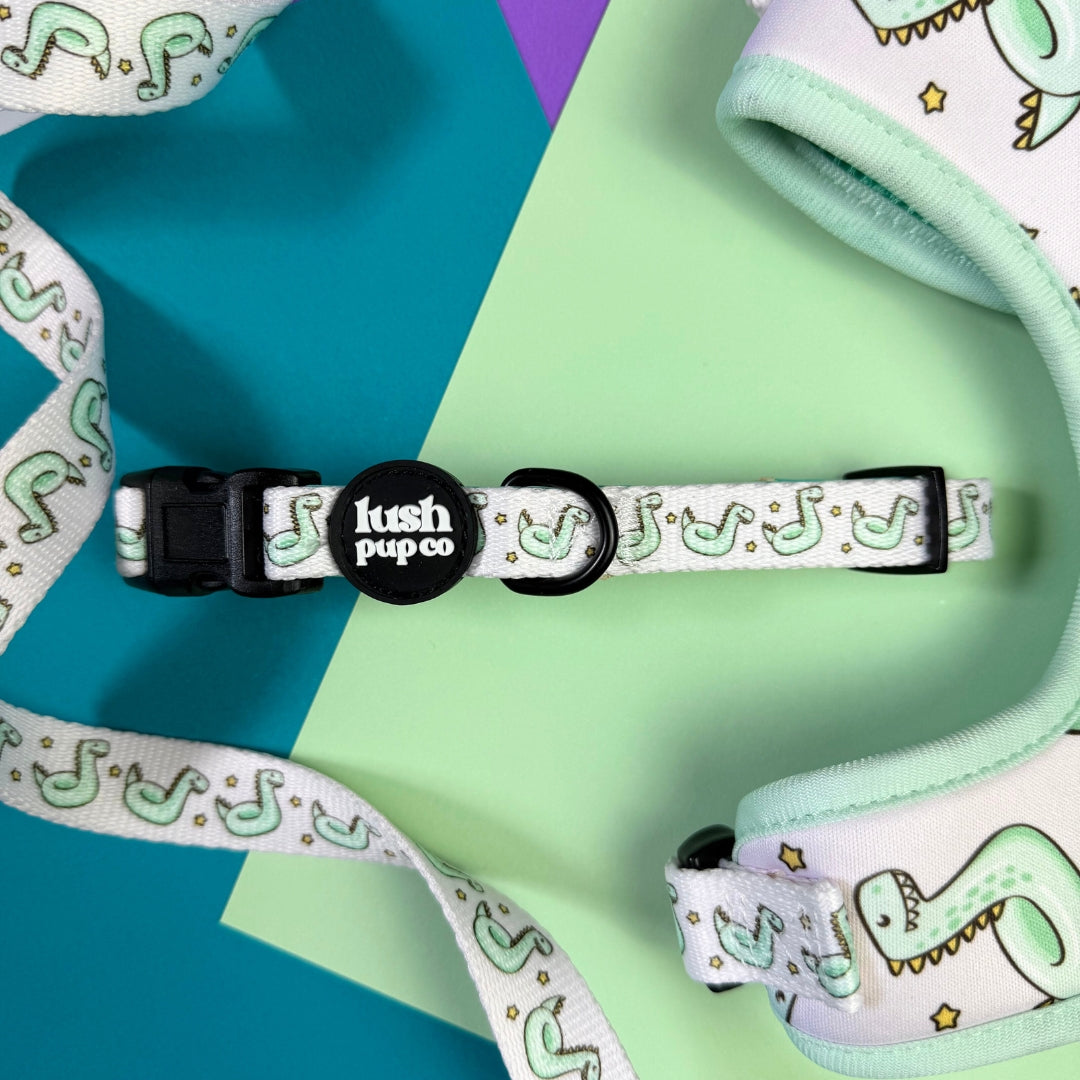Dino Dip Collar