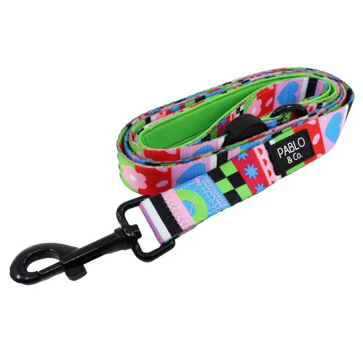 Saint's Sweater Dog Leash