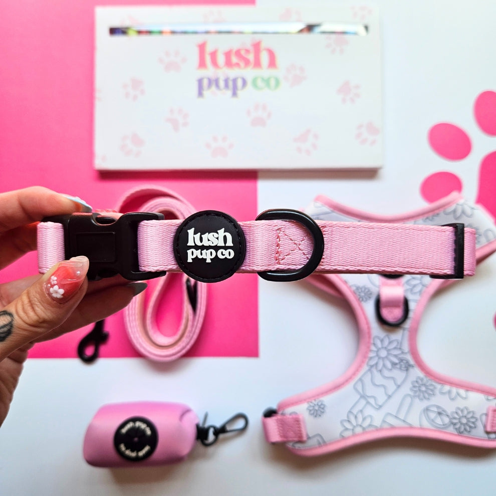 Sugar Rush Pink Collar