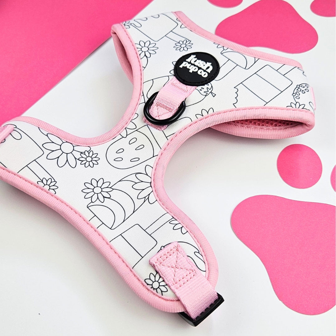Paddle Pop Paradise Colour-In Adjustable Harness