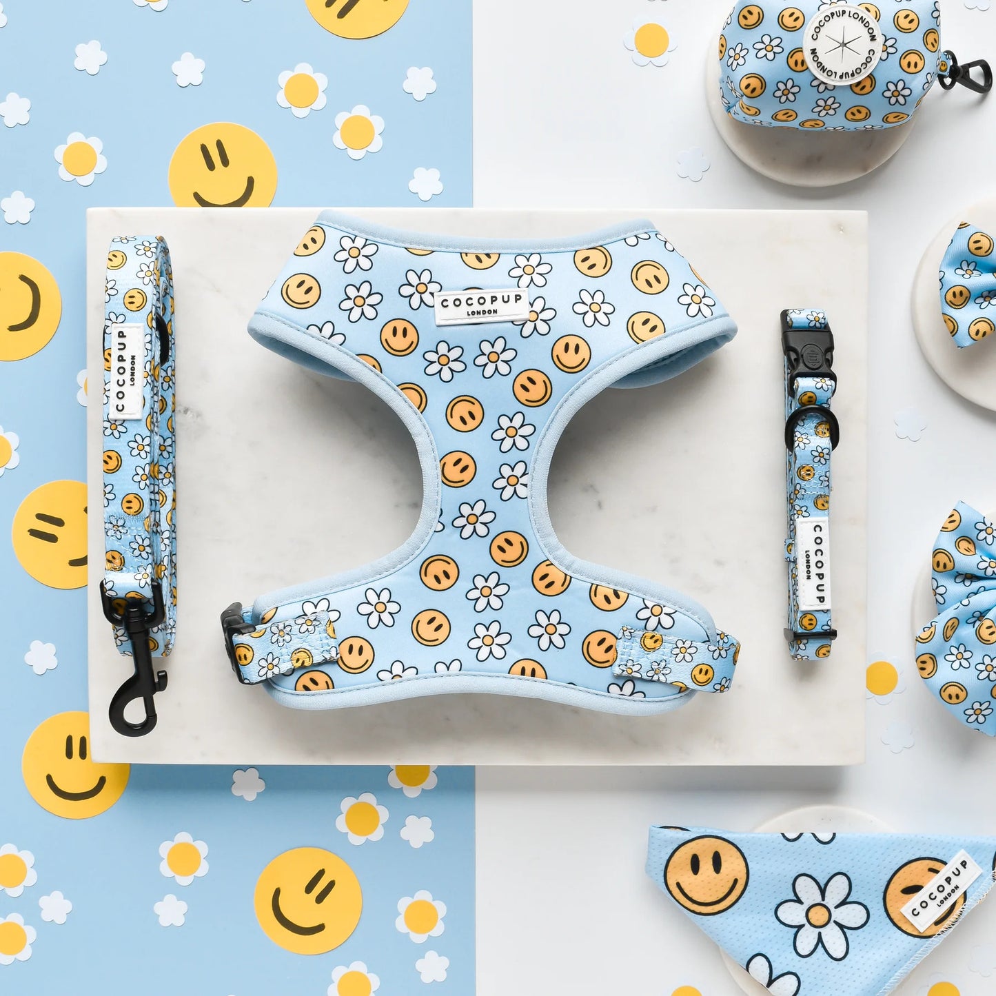 Smiley Pawty Tent Leash