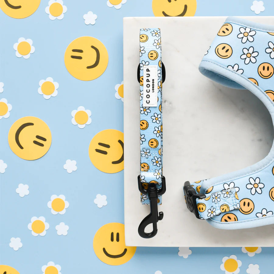 Smiley Pawty Tent Leash
