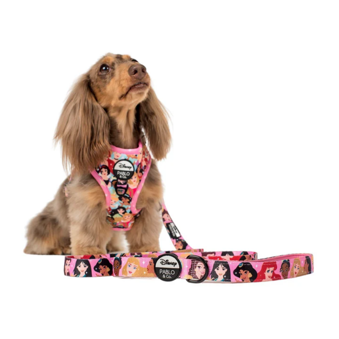 Disney Princesses Dog Leash