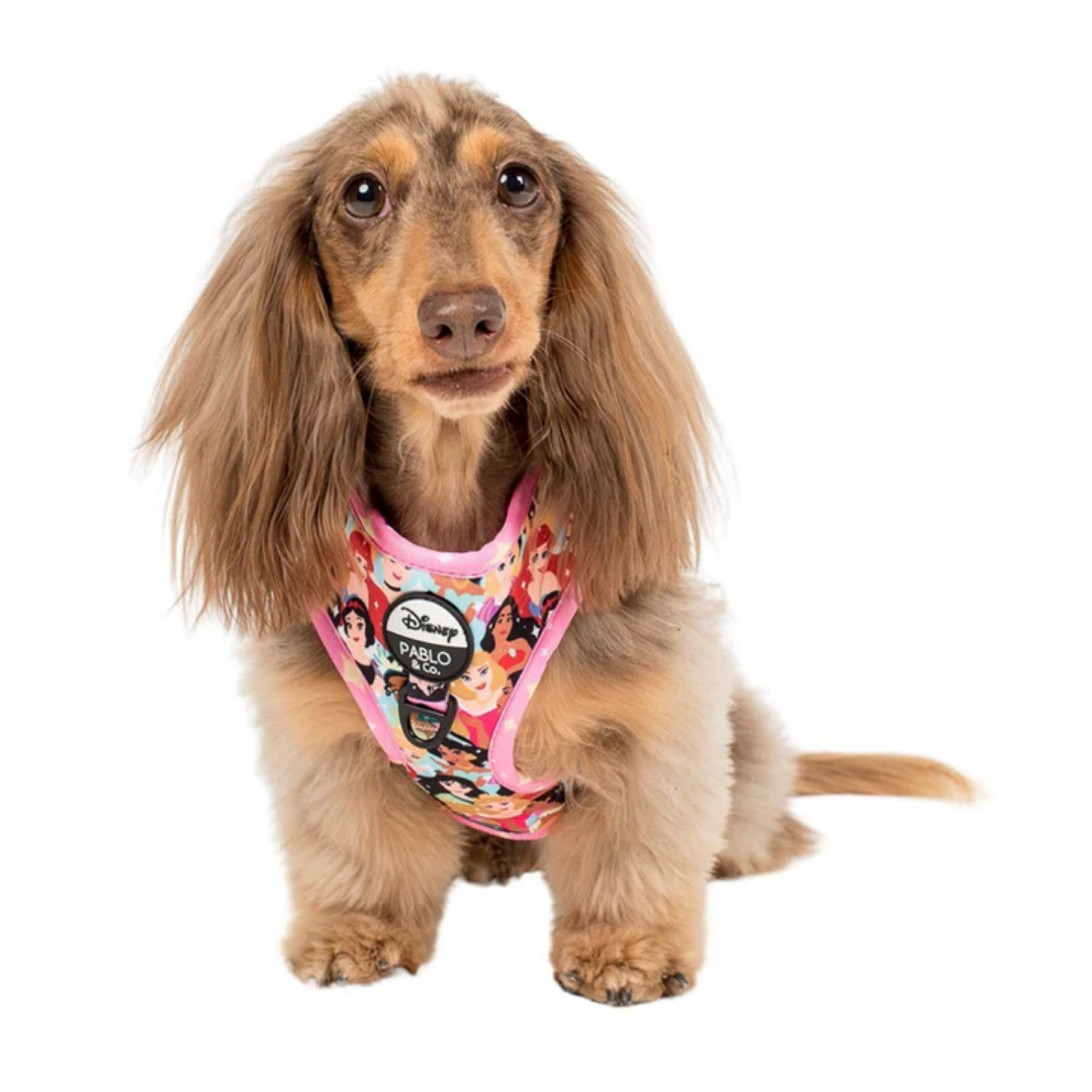 Disney Princesses Adjustable Dog Harness