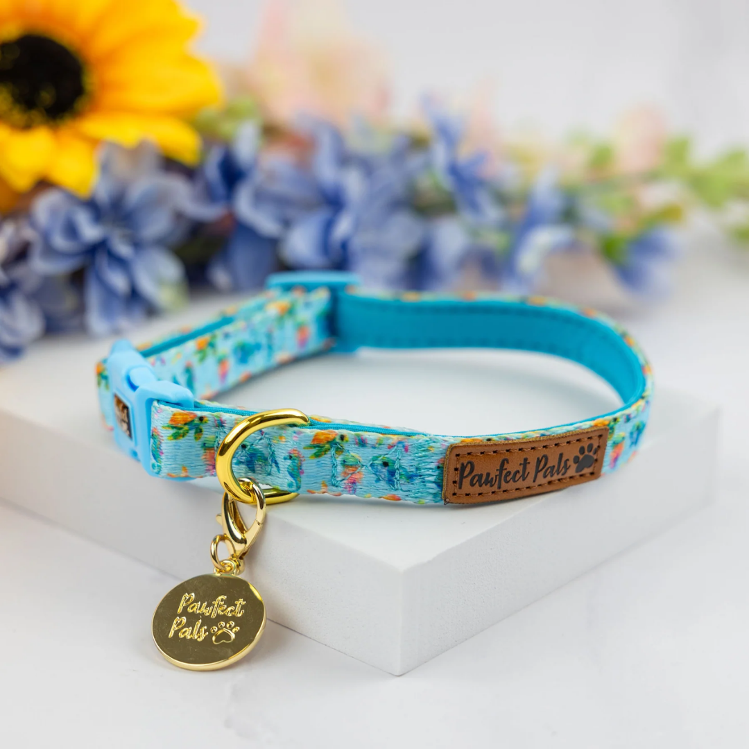 Dogs Just Wanna Have Sun Under The Sea Soft Dog Collar