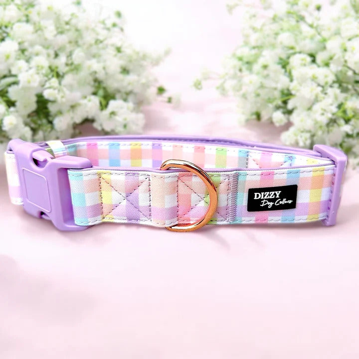 Sherbet Gingham Extra Wide Collar