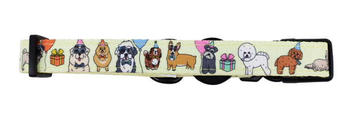 Party Dawgs Dog Collar