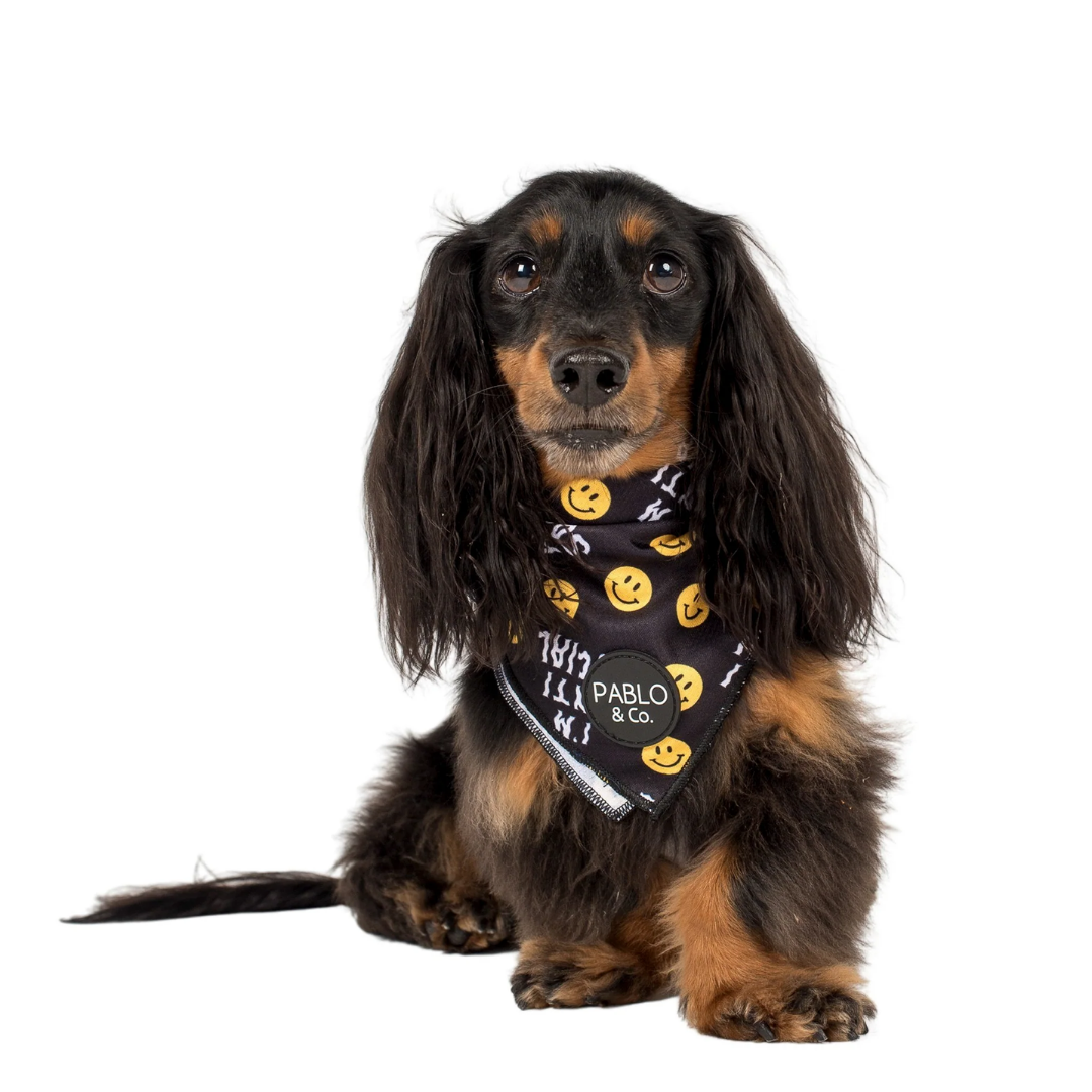 I'm Anti Social Dog Bandana