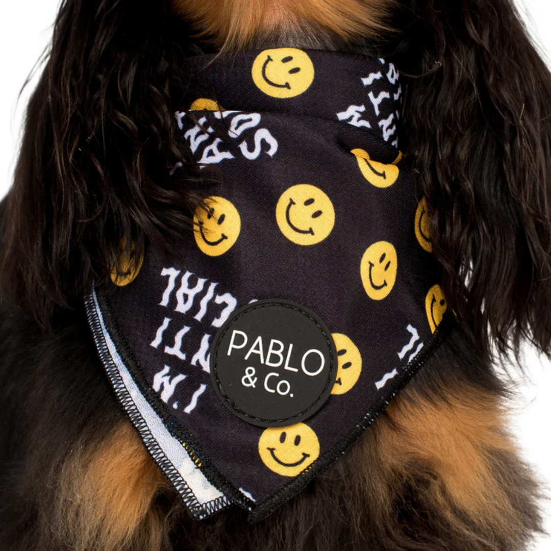 I'm Anti Social Dog Bandana