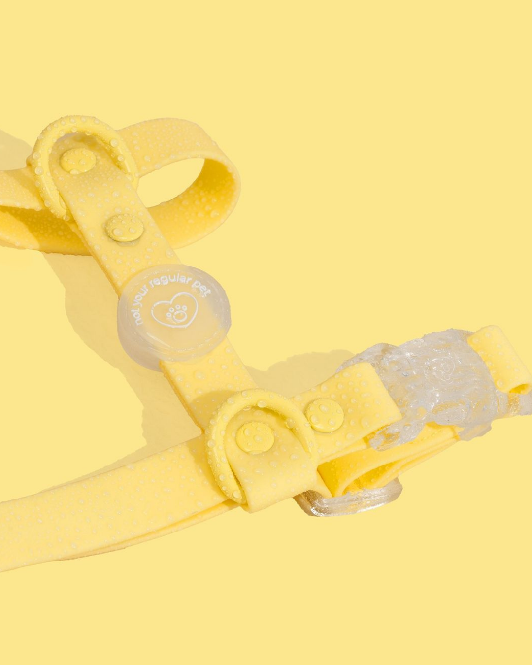 Limoncello H-Strap Waterproof Harness
