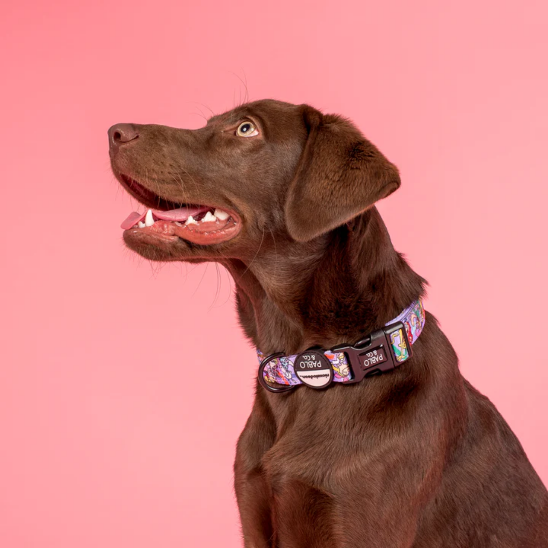 Nick 90's Dog Collar