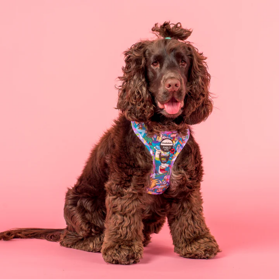 Nick 90's Adjustable Dog Harness