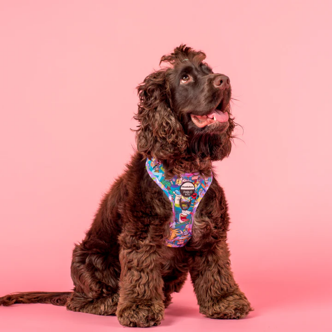 Nick 90's Adjustable Dog Harness