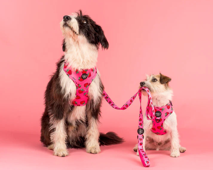 Strawberries Adjustable Dog Harness