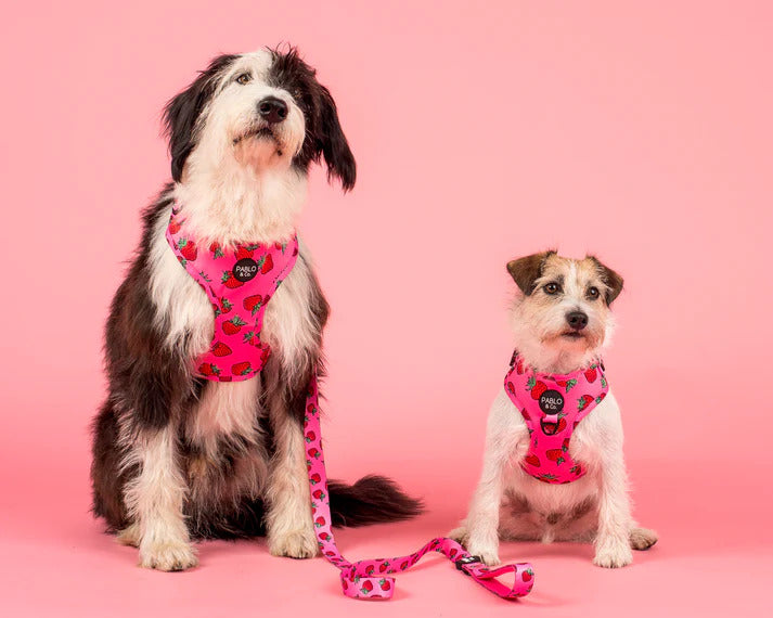 Strawberries Adjustable Dog Harness