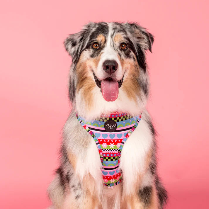 Saint's Sweater Adjustable Dog Harness