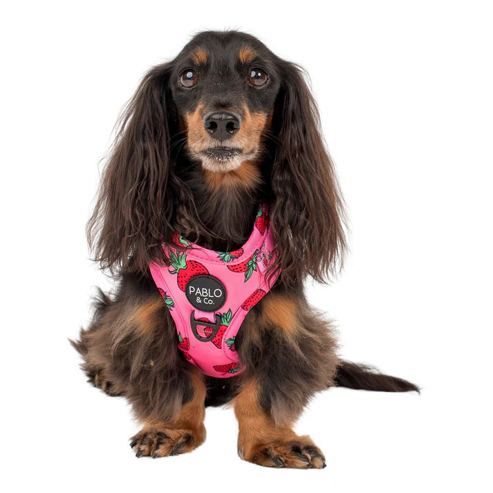 Strawberries Adjustable Dog Harness