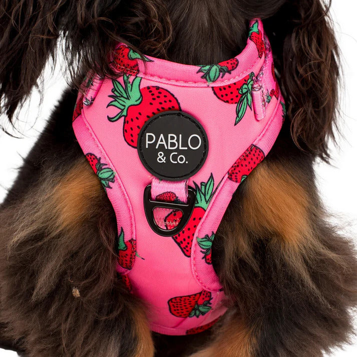 Strawberries Adjustable Dog Harness