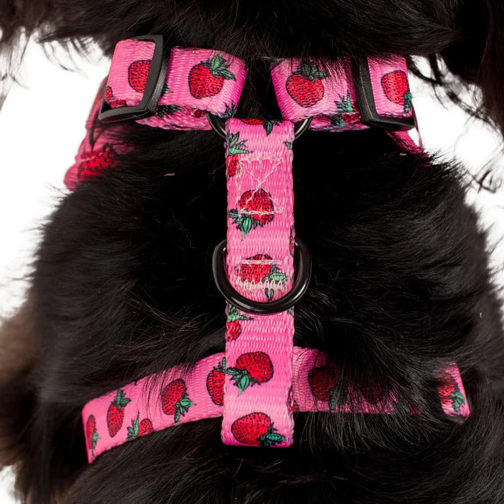 Strawberries Adjustable Dog Harness