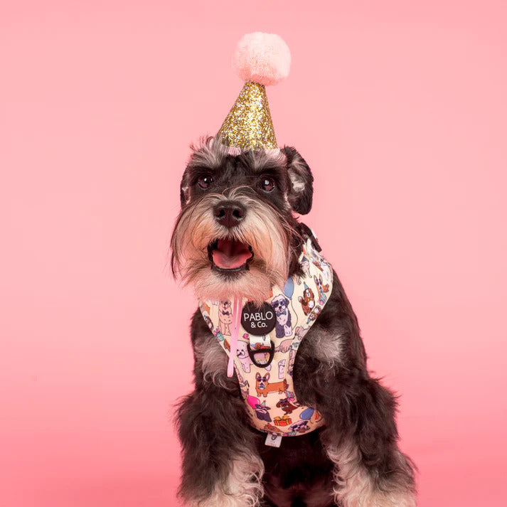 Party Dawgs Adjustable Dog Harness