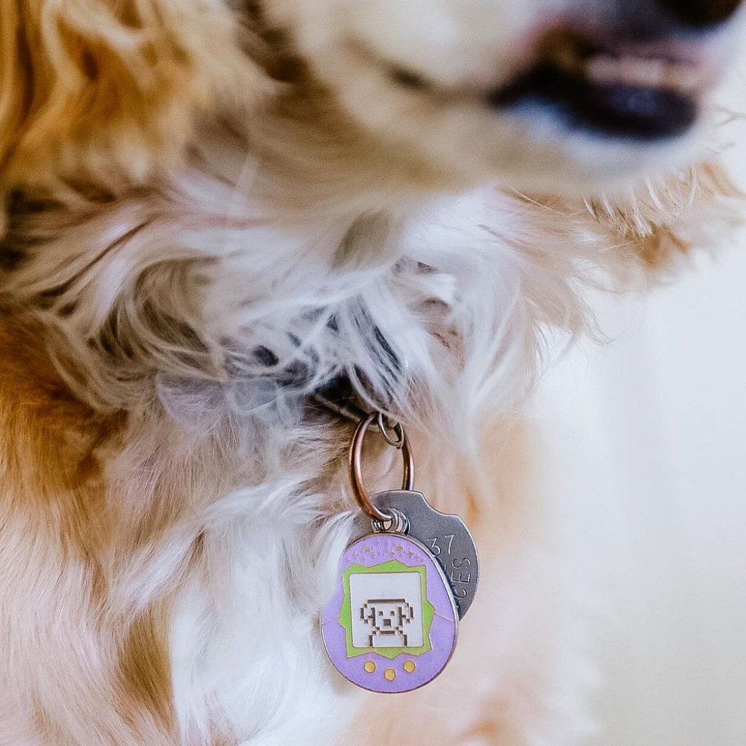 Tamagotchi Dog ID Tag