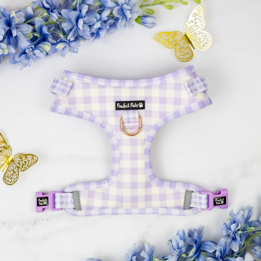 Social Butterfly Purple Gingham No-Pull Adjustable Harness