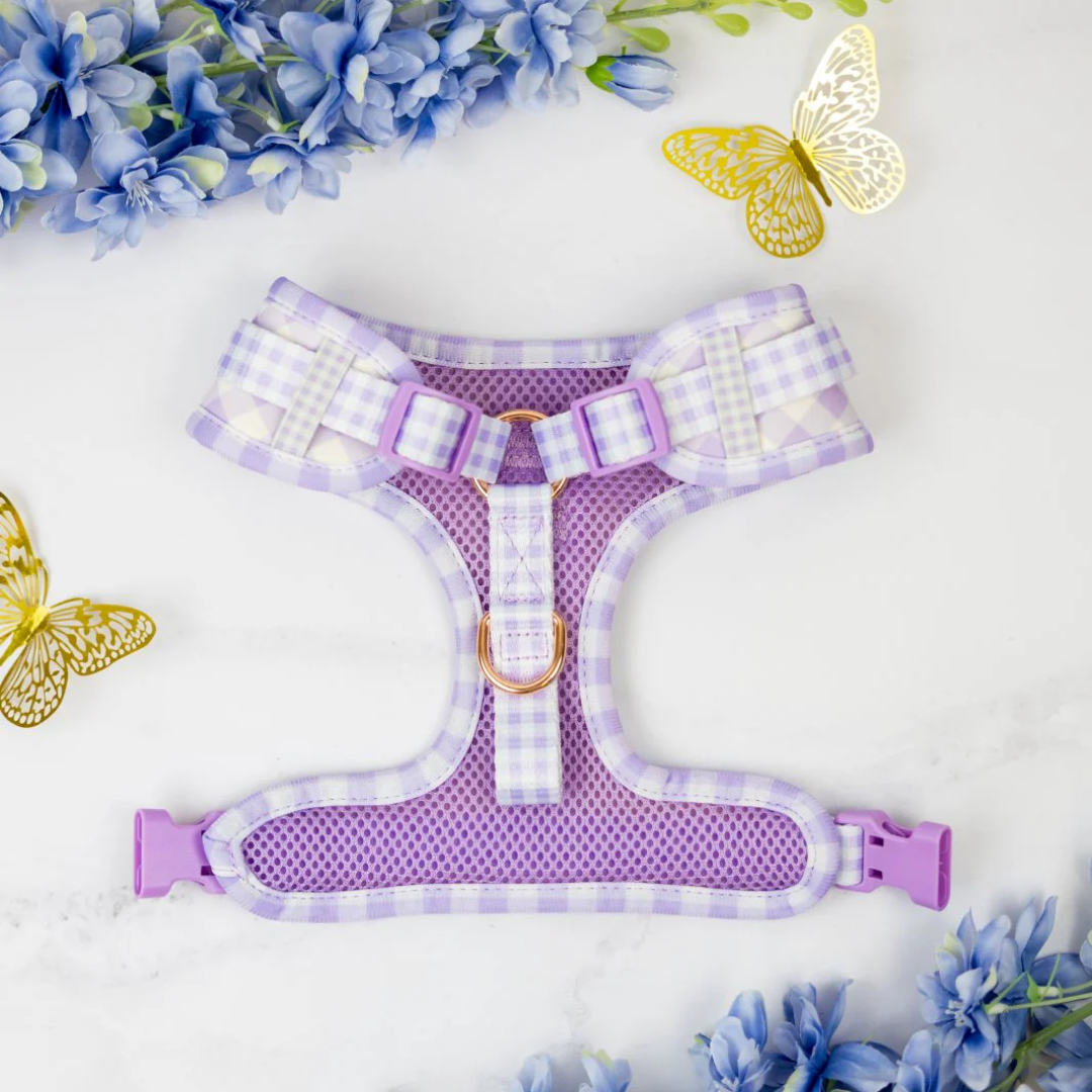 Social Butterfly Purple Gingham No-Pull Adjustable Harness
