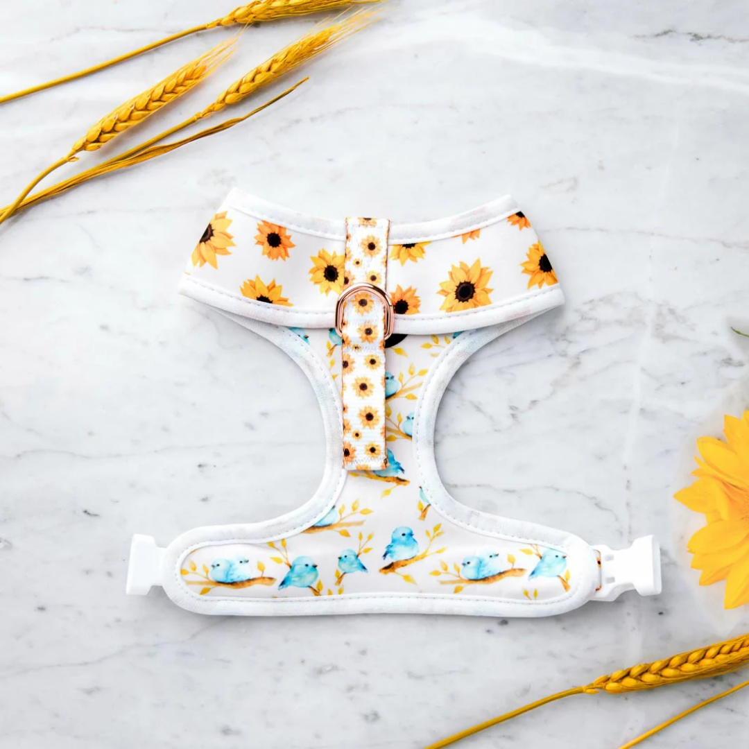 Sunshine On My Mind Reversible Dog Harness