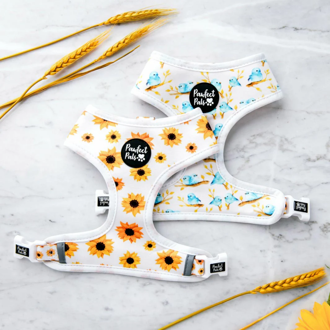Sunshine On My Mind Reversible Dog Harness
