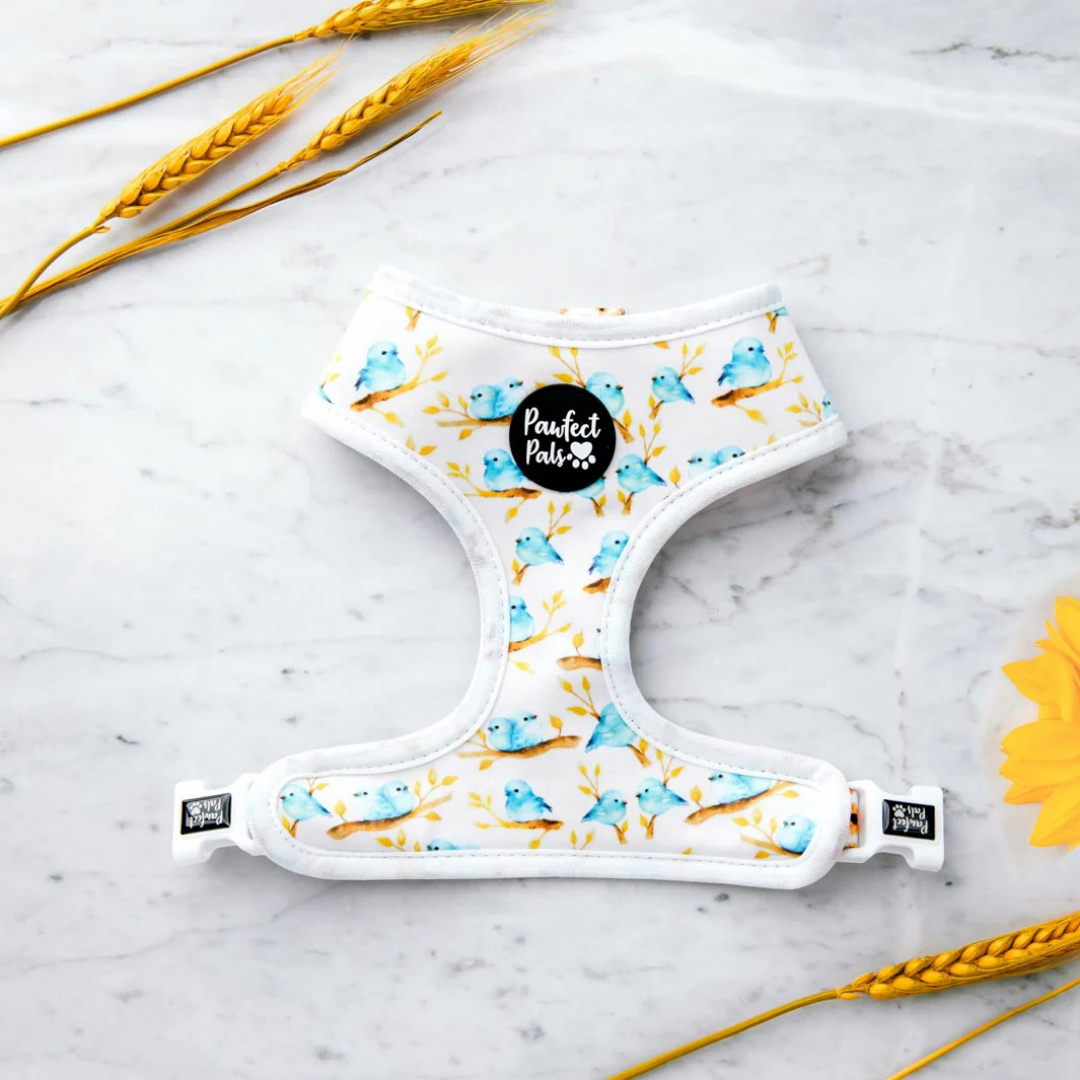 Sunshine On My Mind Reversible Dog Harness