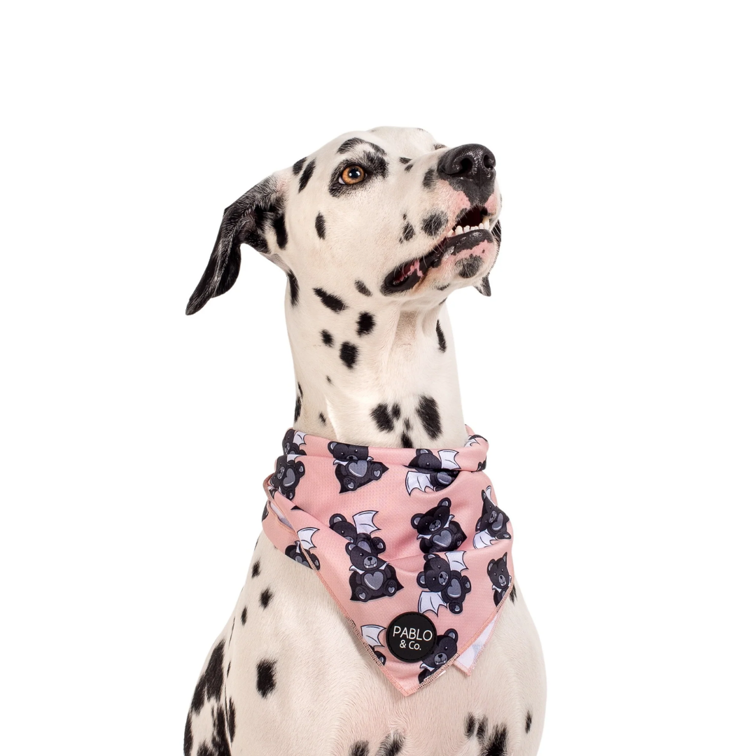 The Vampire Teddy Bear Dog Bandana