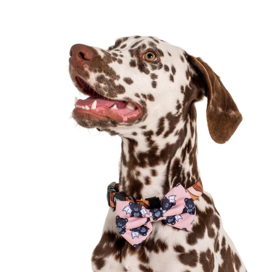 The Vampire Teddy Bear Dog Bow Tie