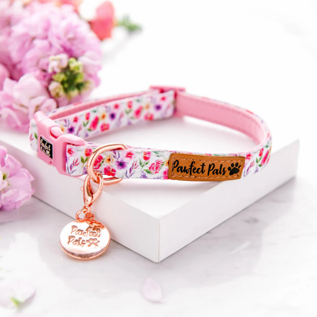 Think Pretty Thoughts Soft Collar