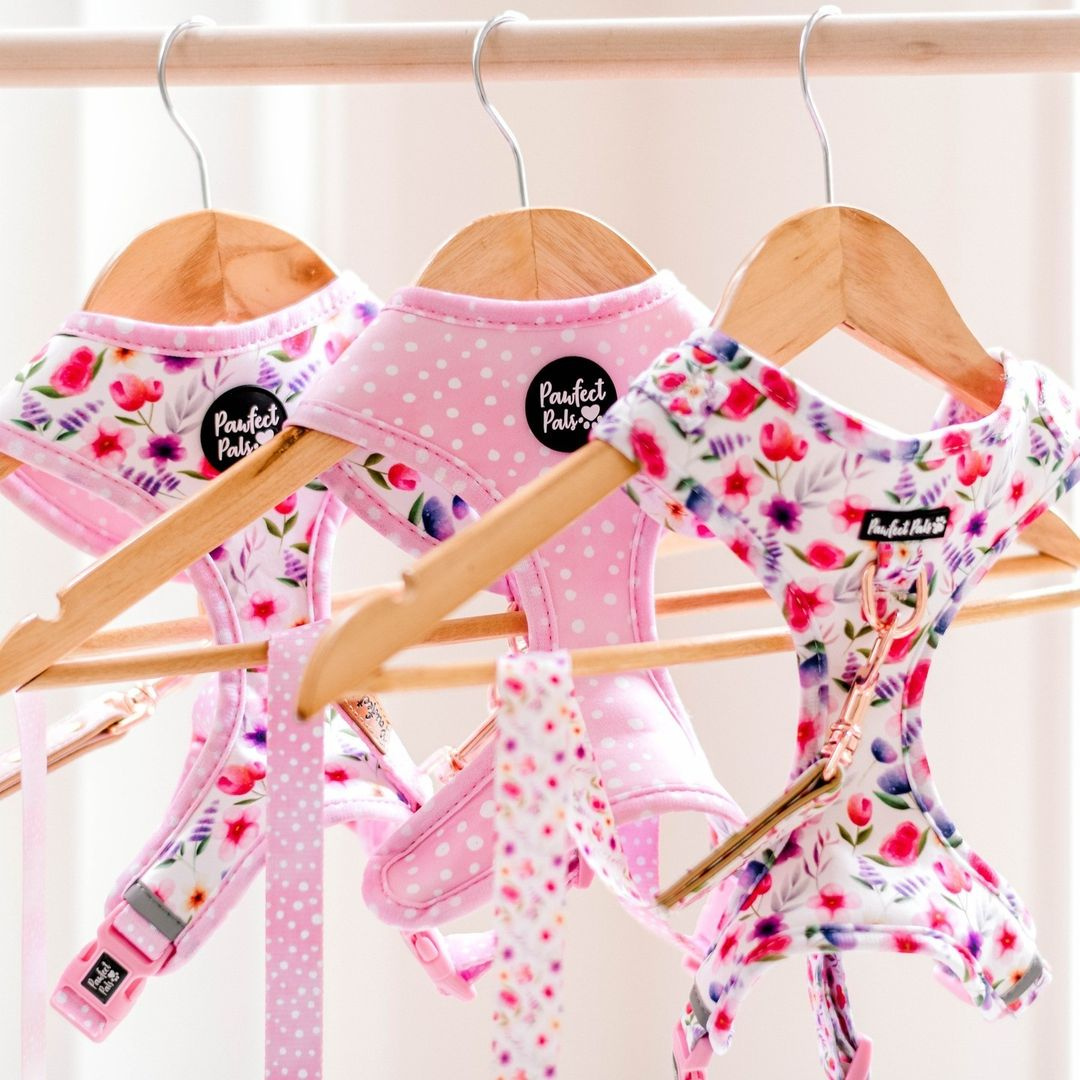 Think Pretty Thoughts Reversible Dog Harness