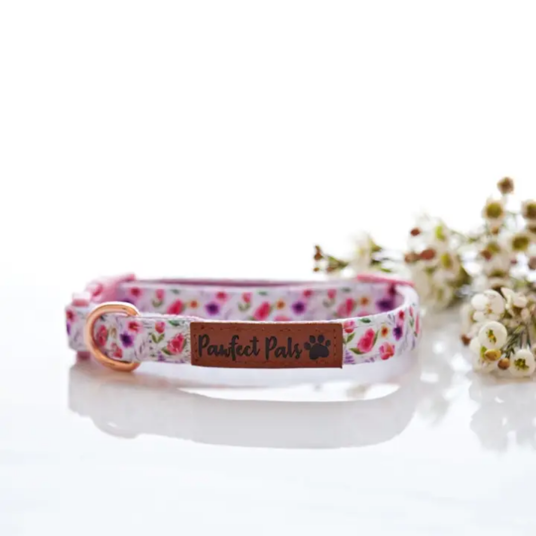Think Pretty Thoughts Soft Collar