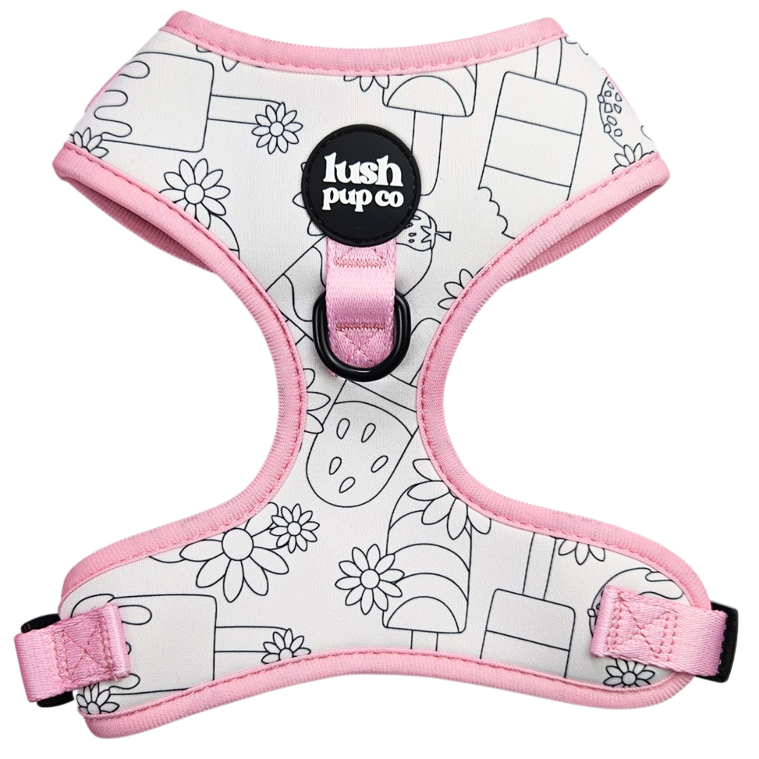 Paddle Pop Paradise Colour-In Adjustable Harness