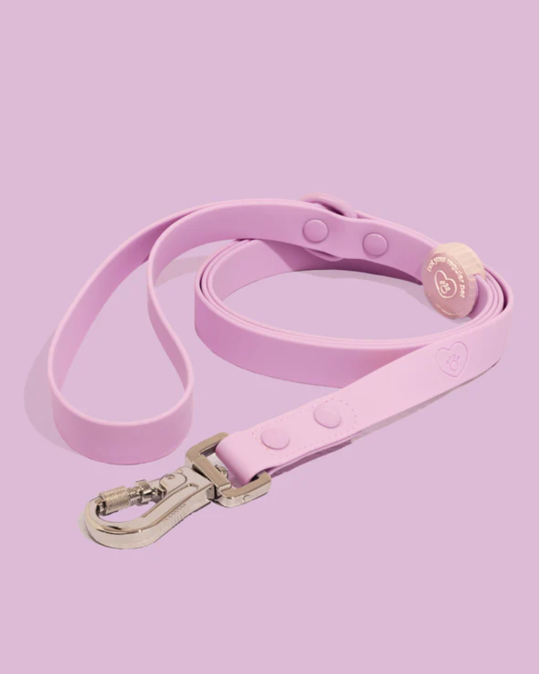 Violet Waterproof Leash