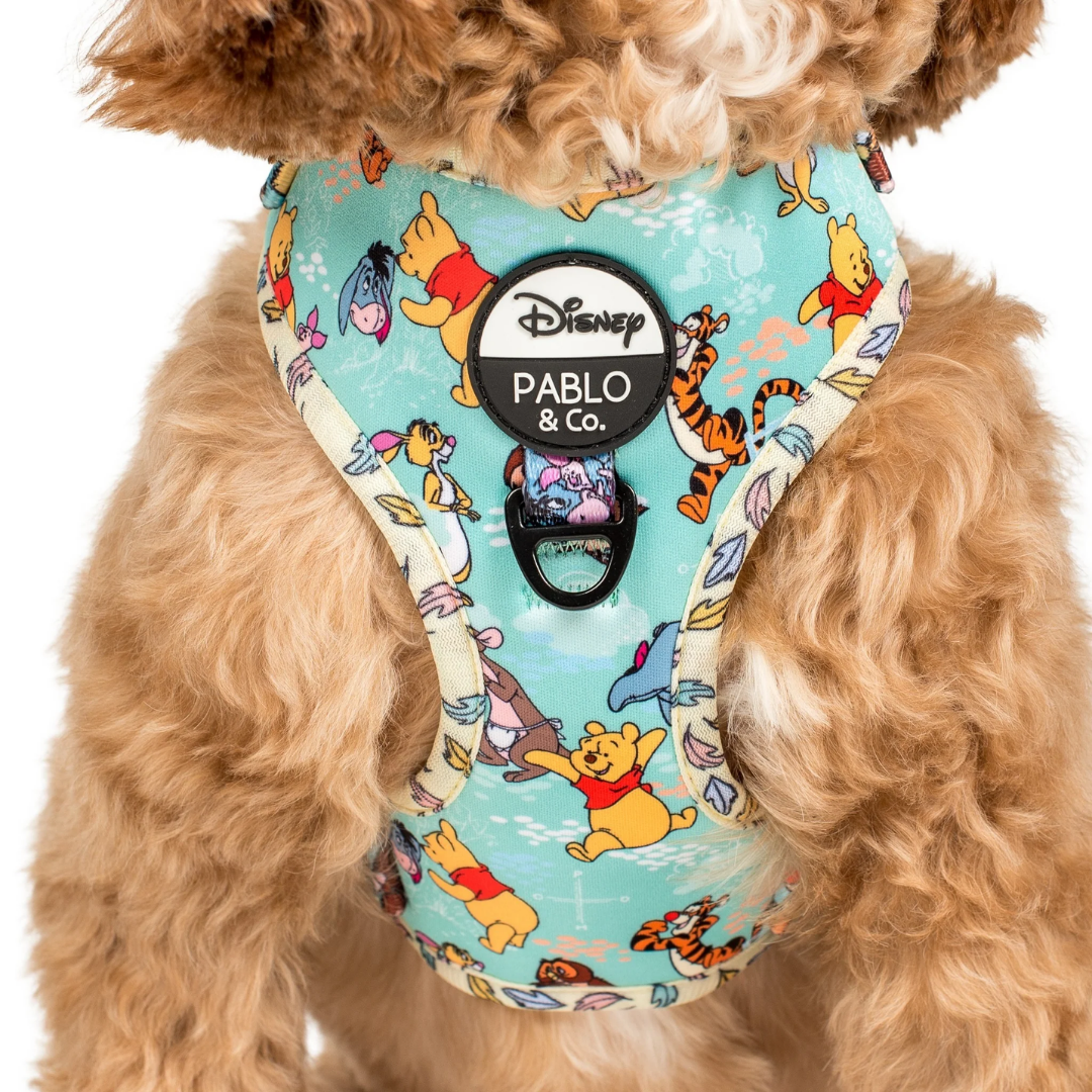 Winnie the Pooh & Forest Friends Adjustable Harness