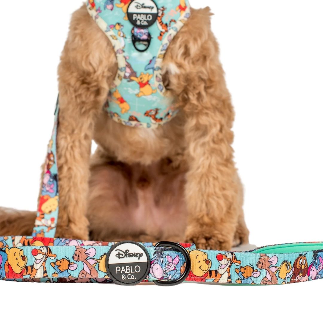 Winnie the Pooh & Forest Friends Dog Leash