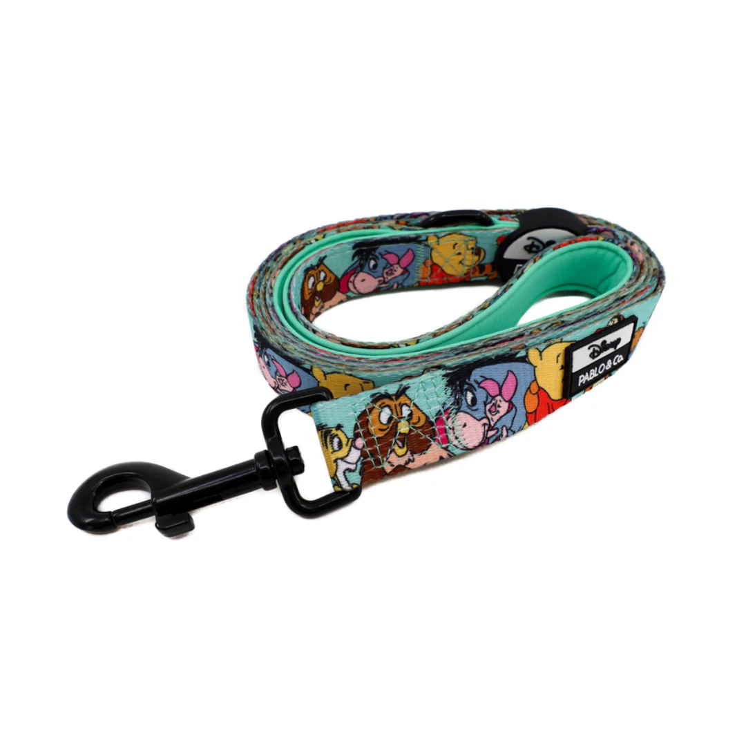 Winnie the Pooh & Forest Friends Dog Leash