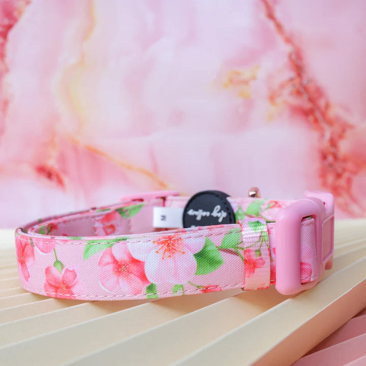 Sweet Sakura Collar